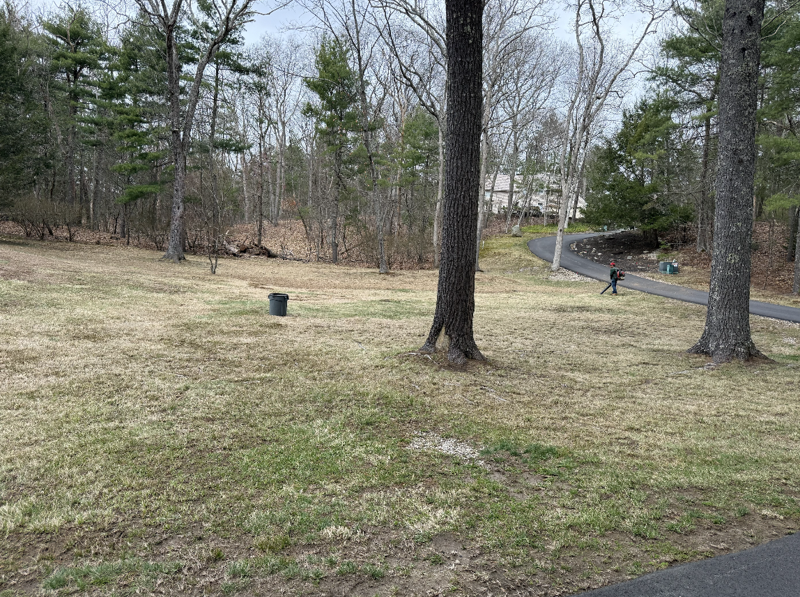Spring Yard Cleanup